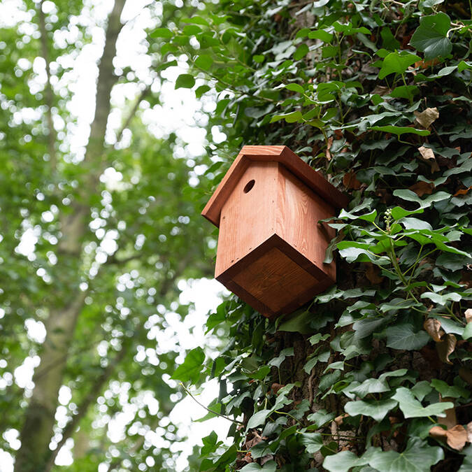 Le Château de Beaulieu à Busnes ® Studio Helle