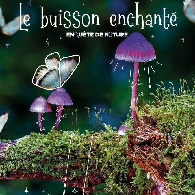 Escape game rural enquête de nature Le buisson enchanté